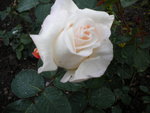 DSCN0769.JPG
