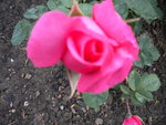 DSCN0770.JPG