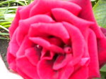 DSCN0771.JPG