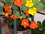 DSCN0748.JPG