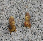 petits écureuils