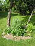 IMG_2408.JPG