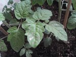 P04-05-10_08.31.JPG