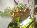 Photo0227.jpg