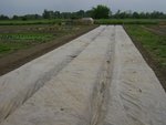 DSC03743.JPG
