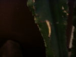 S73F2527.JPG