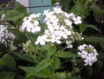 Photo0836.jpg