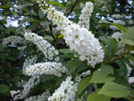 DSCN0746.JPG