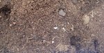 DSC00056.JPG