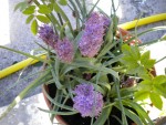 DSCN0831.JPG