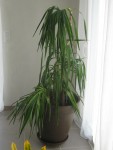 IMG_0846.JPG