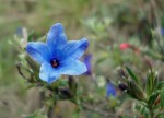 DSC01192.JPG