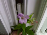 Photos-0050.jpg