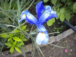 DSCN0754.JPG