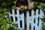 Maâme Betty revient du potager, petite récolte de printemps