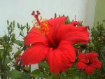 DSC00450.JPG