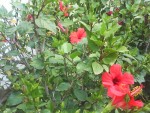 DSC00451.JPG