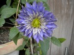 DSCN0861.JPG