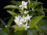 DSCN0842.JPG