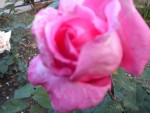 DSCN0849.JPG