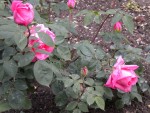 DSCN0858.JPG