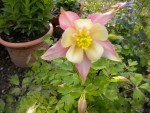 DSCN0873.JPG