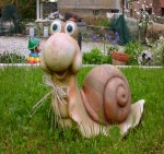 DSCN9624.JPG