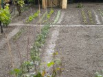 DSCN0854.JPG