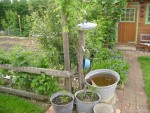 DSC01862.JPG