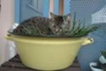 IMG_0910.jpeg