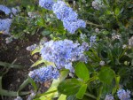 DSCN0874.JPG