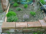 DSC01868.JPG