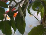 15-05-10_1119.jpg