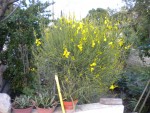 DSCN0852.JPG