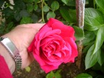 DSC01895.JPG
