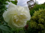 DSC01897.JPG