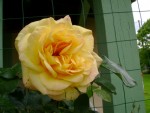DSC01899.JPG