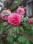 DSC01329.JPG