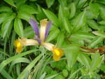 DSC01902.JPG