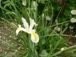 DSC01908.JPG
