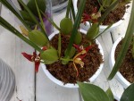 15052010285.jpg