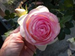 DSCN0923.JPG