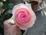 DSCN0924.JPG