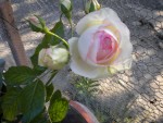 DSCN0925.JPG