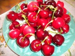 DSCN0910.JPG