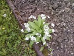 Photos-0003.jpg