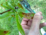 17052010814.jpg