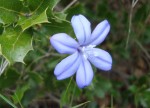 DSC01205 1.jpg