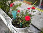 DSCN0904.JPG