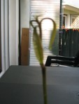 IMG_0626.JPG